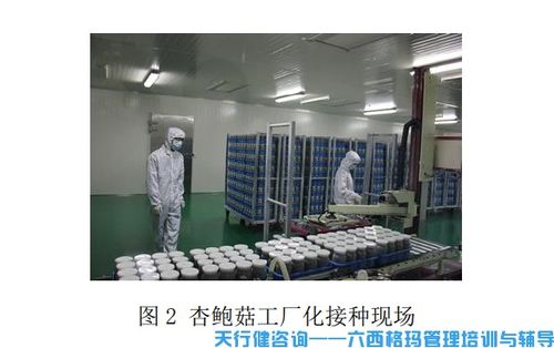 杏鮑菇工廠化接種中TRIZ創新技術的應用與計算機軟硬件技術開發